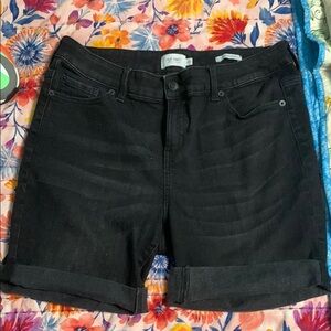 True craft Bermuda 14w